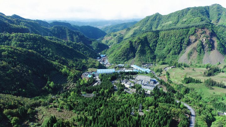 煤市震荡 企业何以破局？