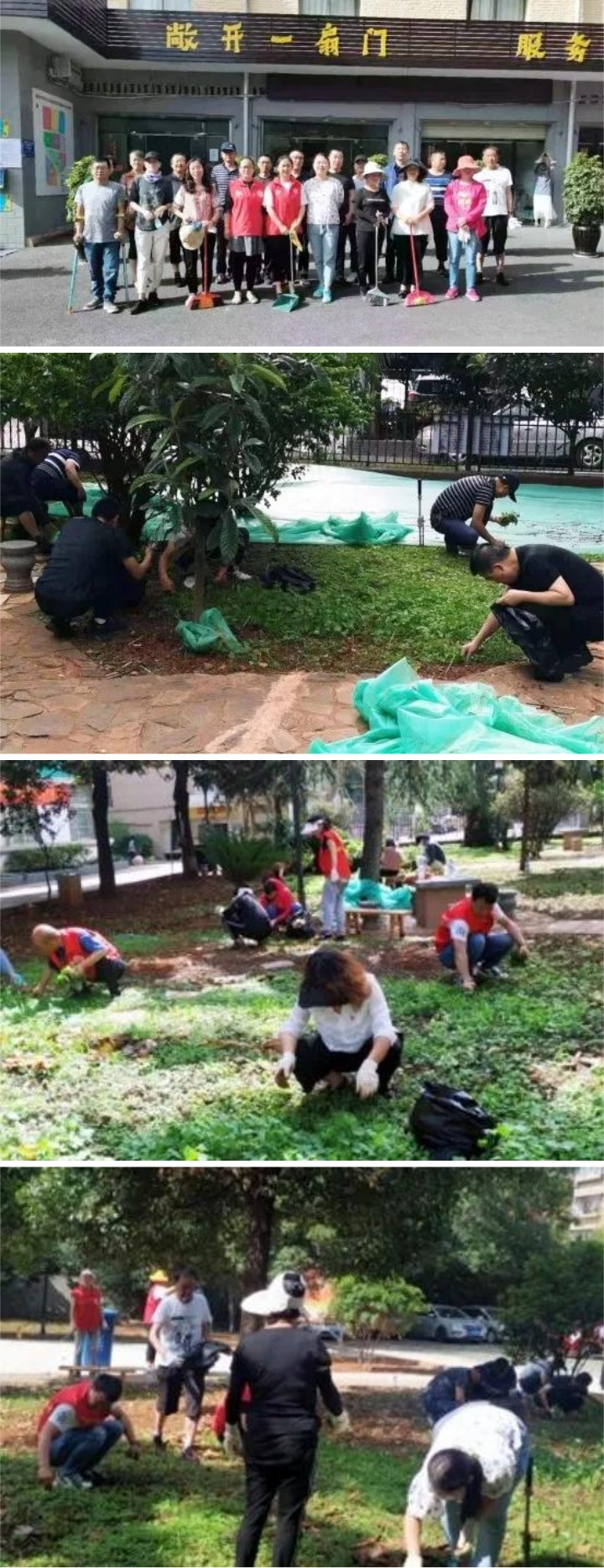 WPS图片拼图.jpg WPS图片拼图.jpg