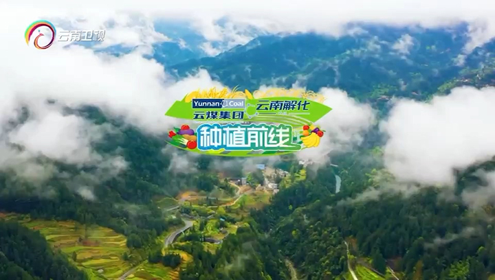 护航春耕 解化当先.jpg 护航春耕 解化当先.jpg